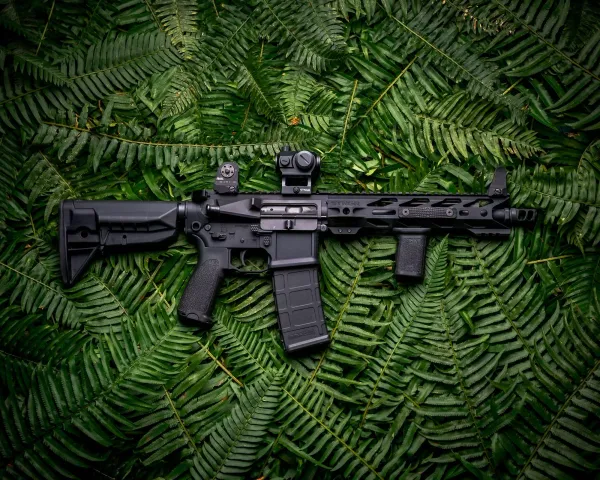 Can You Buy Semi-Automatic Rifles Online for Home Defense?